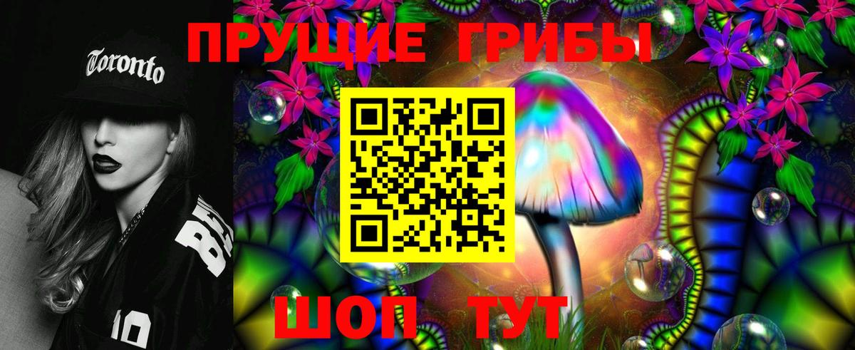 Галлюциногенные грибы прущие грибы Вятские Поляны
